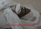 image\eventpic\SindhMadressa\small\15.jpg